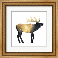 Framed 'Elk Aglow II' border=