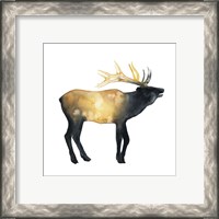 Framed 'Elk Aglow II' border=