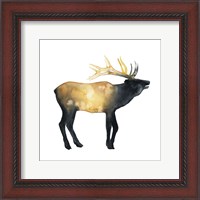 Framed 'Elk Aglow II' border=