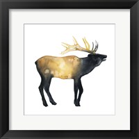 Framed Elk Aglow II