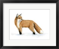 Framed Snow Fox II