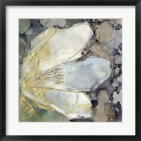 Abstracted Lily II Framed Print