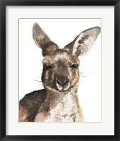 Framed Kangaroo Portrait I