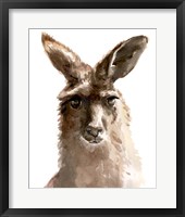 Framed Kangaroo Portrait II