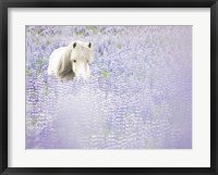 Framed Horse in Lavender II