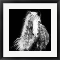 Framed Black and White Horse Portrait I