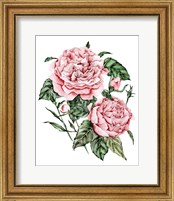 Framed 'Roses are Red I' border=