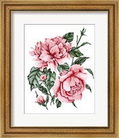 Framed 'Roses are Red II' border=