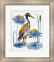 Framed 'Heron Pond II' border=