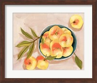 Framed Saturn Peaches II