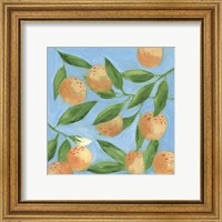 Framed 'Sweet Tangerine II' border=