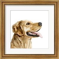 Framed Pet Profile II