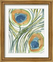 Framed 'Peacock Abstract II' border=