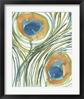 Framed 'Peacock Abstract II' border=