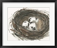 Framed Nesting Eggs I