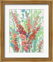 Framed 'Tropical Summer Blooms II' border=