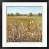 Abundance of Wildflowers I Framed Print