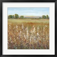 Framed 'Abundance of Wildflowers II' border=