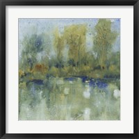 Pond Reflection I Framed Print