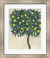 Framed 'Lemon Tree Composition I' border=