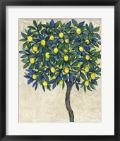 Framed Lemon Tree Composition I