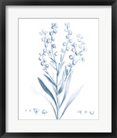 Framed 'Antique Botanical in Blue I' border=