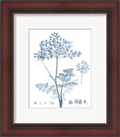 Framed 'Antique Botanical in Blue VI' border=