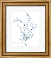 Framed 'Antique Botanical in Blue VII' border=