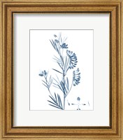 Framed 'Antique Botanical in Blue IX' border=