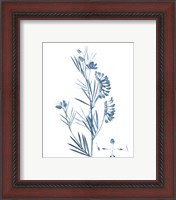 Framed 'Antique Botanical in Blue IX' border=