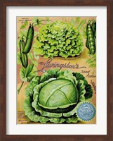 Framed Antique Seed Packets XII