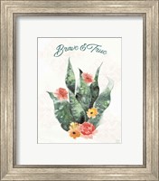 Framed 'Sweet Southwest XI' border=