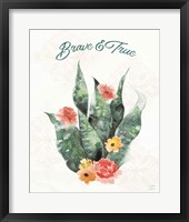 Sweet Southwest XI Framed Print