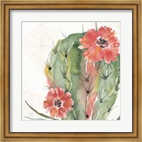 Framed 'Sweet Southwest V' border=