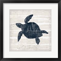 Driftwood Coast III Blue Framed Print