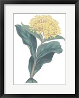 Framed Harlequin Floral Cool