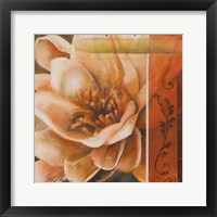 Flor de Loto I Framed Print