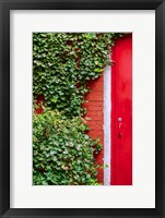 Framed Red Garden Door