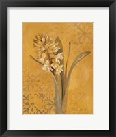 Hyacinth I Framed Print