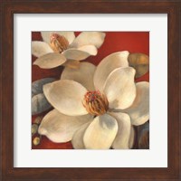 Framed Magnolia Passion I