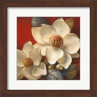 Framed Magnolia Passion II