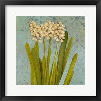 Hyacinth on Teal II Framed Print
