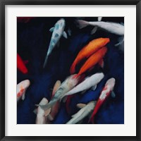 Framed Koi