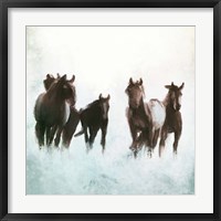 Framed Horses Running through the Surf