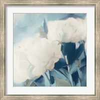 Framed 'White Roses II' border=