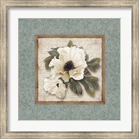 Framed 'Silversage Flower I' border=