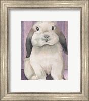 Framed 'Bunny I' border=