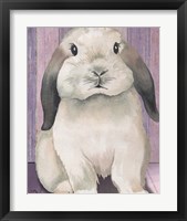 Framed 'Bunny I' border=