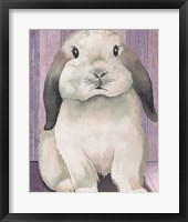 Framed 'Bunny I' border=