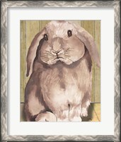 Framed 'Bunny II' border=